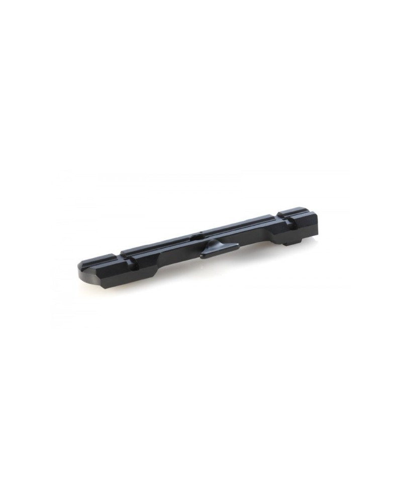 Dentler Grundschiene BASIS