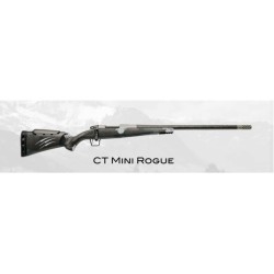 CT Mini Rogue
